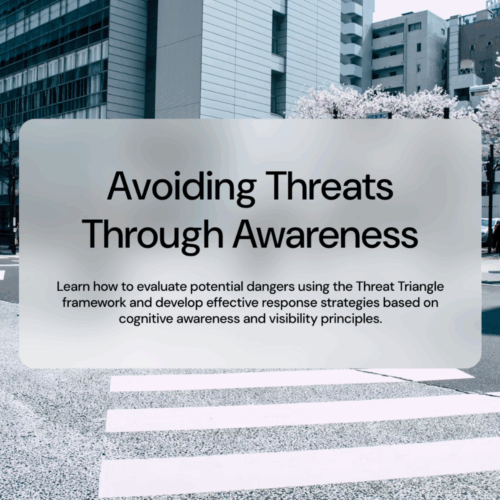 Situational Awareness Online Course Screenshot2